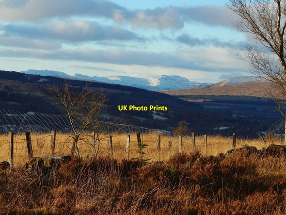 Photo 6"x4" Fence beside Nobleston Wood Alexandria c2017
