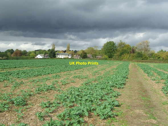 Photo 6"x4" Footpath Leading To Hill Green Hill Green\/TL4832 c2017