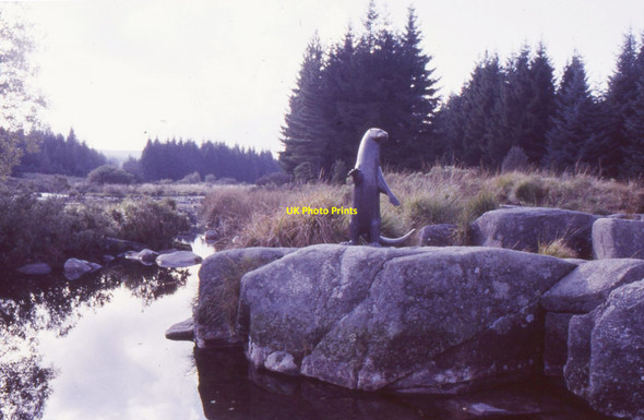 Photo 6"x4" Otter sculpture beside the Otter Pool Otter Poo c1988