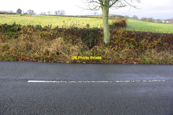 Photo 6"x4" Fields on NW side of Shann Lane Keighley c2017