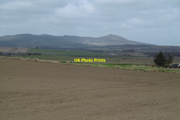 Photo 6"x4" Seedbed and Benachie Craigearn c2017