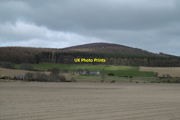 Photo 6"x4" Spring arable seedbed and Corrennie Wood Ordhead\/NJ6610 c2017