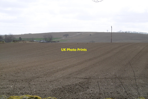 Photo 6"x4" Sown spring barley Sauchen c2017