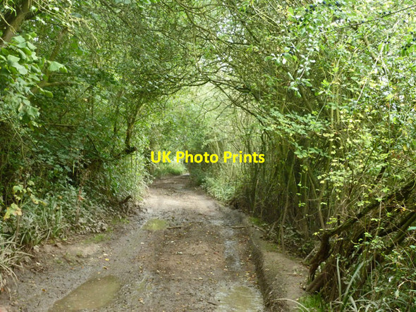 Photo 6"x4" Green Croft Lane Hamperden End c2015