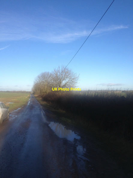 Photo 6"x4" On the Twyford Road Lowesby c2017