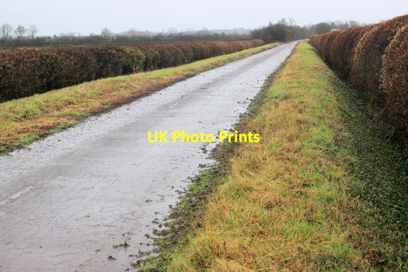 Photo 6"x4" The Old A37 Podimore c2017