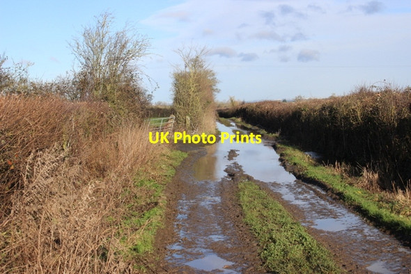 Photo 6"x4" Flooded Track near Chilthorne Hill Chilthorne Domer c2017