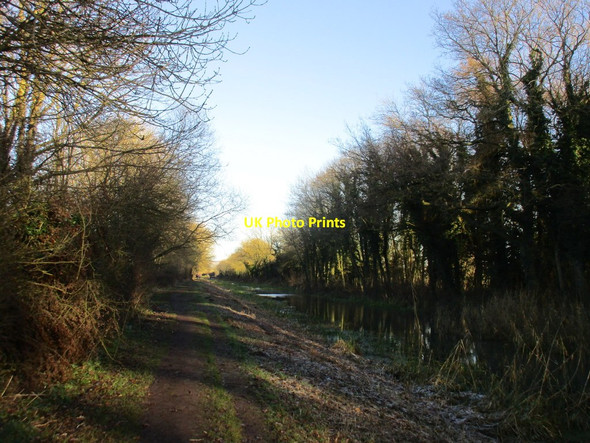 Photo 6"x4" The Pocklington Canal at The Ings Allerthorpe c2017