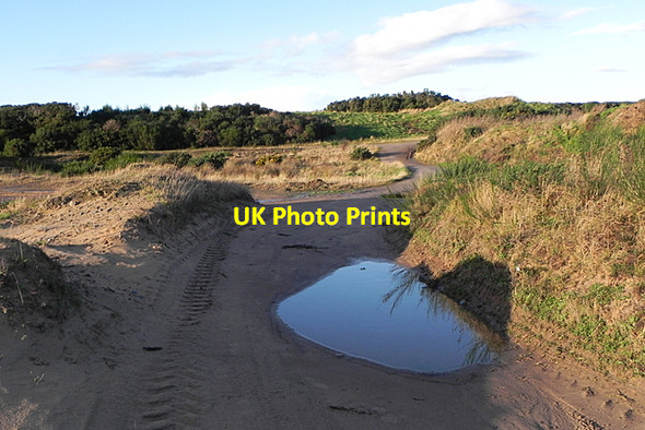 Photo 6"x4" Sandy Tracks Fisherton\/NH7451 c2017