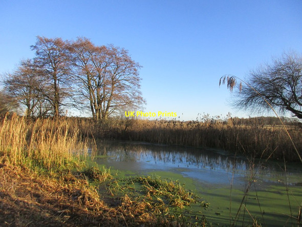 Photo 6"x4" The Pocklington Canal above Sandhill Lock Allerthorpe c2017