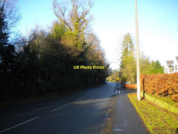 Photo 6"x4" Yew Tree Lane, Wergs Wergs c2017