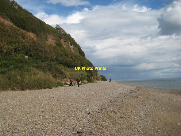Photo 6"x4" Shingle beach below the cliffs Seaton\/SY2490 c2017