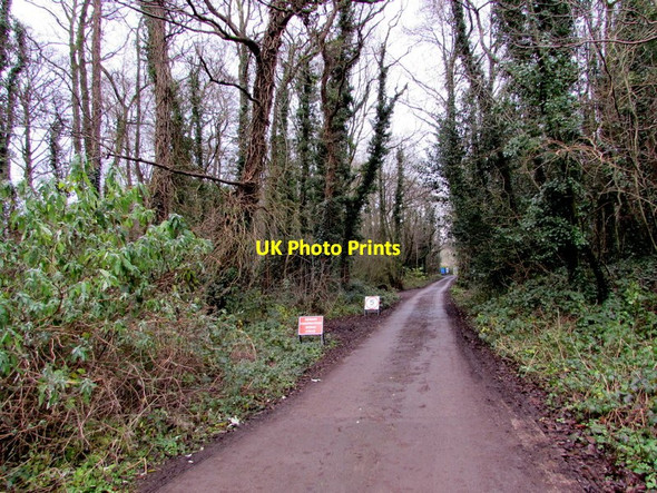 Photo 6"x4" Road from Lisvane Road into South Rise Woodland, Cardiff Lisvane c2017