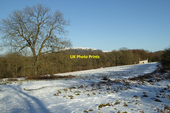 Photo 6"x4" Snow and Peacock Villa Hollybush\/SO7636 c2017