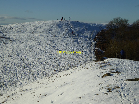 Photo 6"x4" Ragged Stone Hill Hollybush\/SO7636 c2017