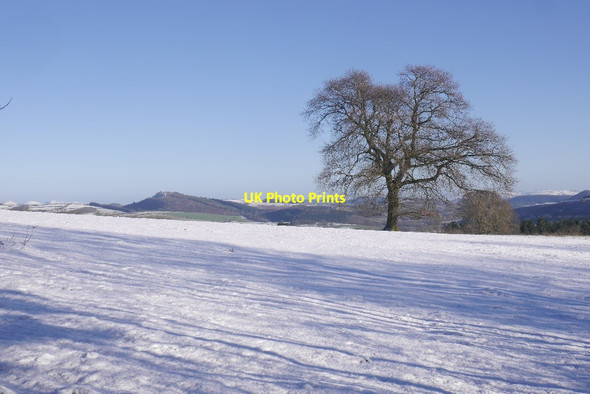 Photo 6"x4" Field above Cwm Farm Cwm\/SO3379 c2017