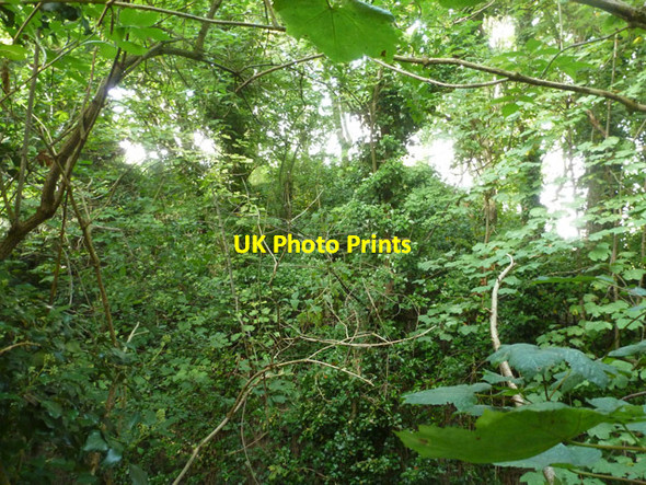 Photo 6"x4" The fourth Bartlow Hill Bartlow c2015
