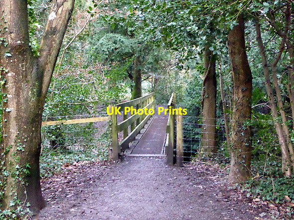 Photo 6"x4" Footbridge over Afon Clarach Plas Gogerddan c2018