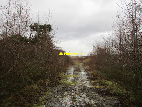 Photo 6"x4" Abandoned track Deighton\/SE6244 c2017