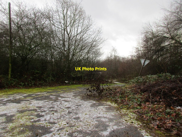 Photo 6"x4" Abandoned road Deighton\/SE6244 c2017