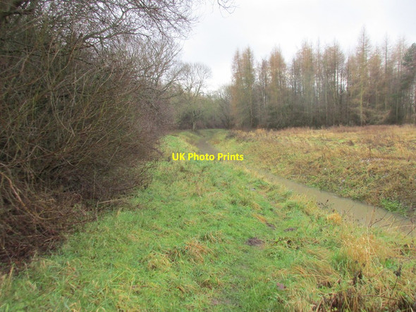 Photo 6"x4" Bridleway alongside the Bridge Dike Deighton\/SE6244 c2017