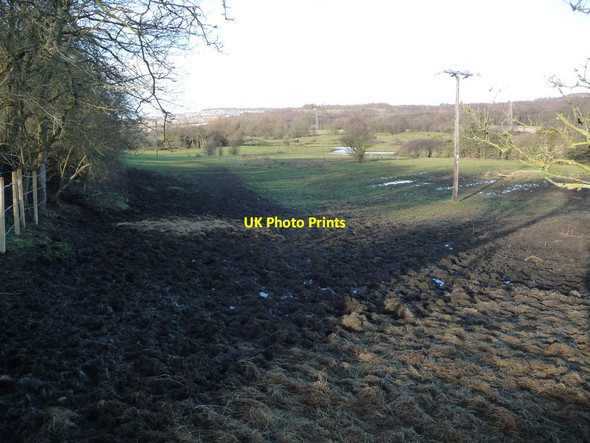 Photo 6"x4" Paddock in the Dearne valley Barnsley\/SE3406 c2017