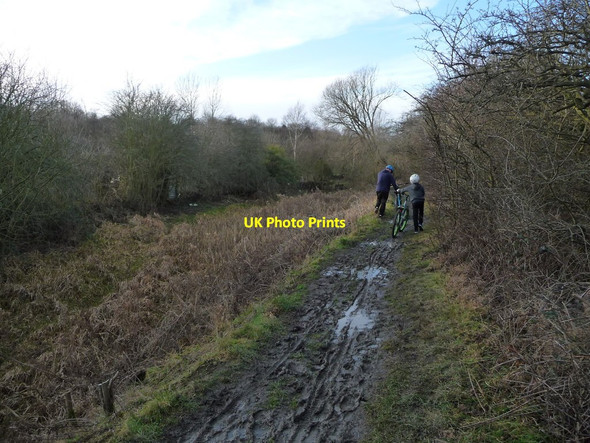 Photo 6"x4" Cyclists on the Dearne Way Barnsley\/SE3406 c2017