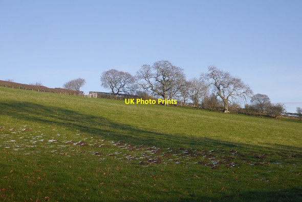 Photo 6"x4" Field, Clunton Clunton c2017