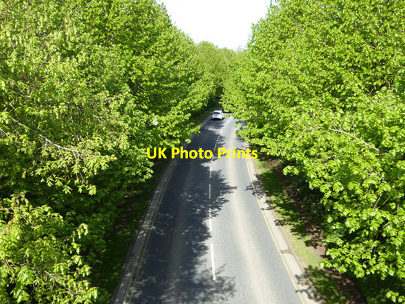 Photo 6"x4" Mountery Road, Wells Wells c2017