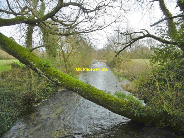 Photo 6"x4" West Stafford, South Winterborne West Stafford c2018
