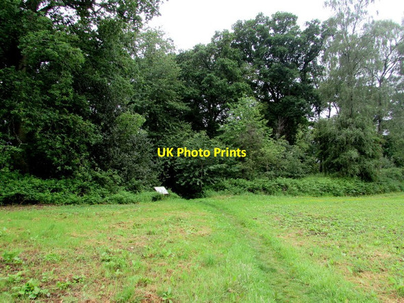 Photo 6"x4" Goytre House Wood, Penperlleni Croes y pant c2016