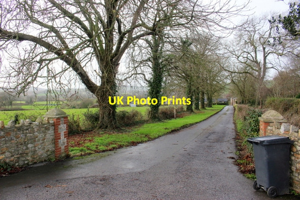 Photo 6"x4" Drive to Ashe Farm and Ashe House Maidenhayne c2018
