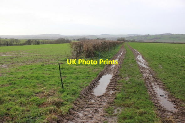 Photo 6"x4" Farm Track near Pudleylake Axminster c2018