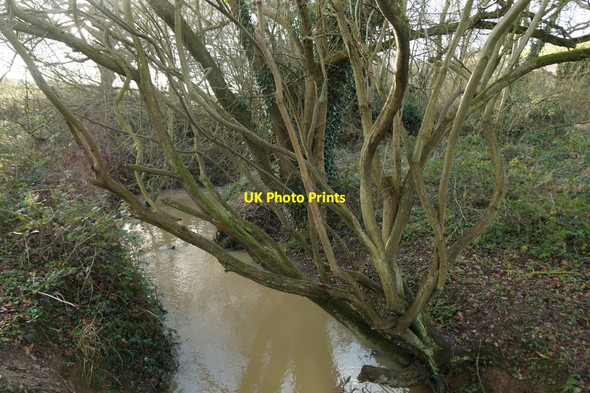 Photo 6"x4" Small stream at Chessington Chessington c2018