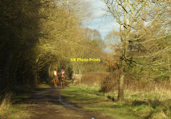 Photo 6"x4" Horse riders in Horton Country Park Ewell c2018