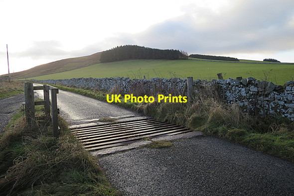 Photo 6"x4" Cattle Grid Chatto c2018