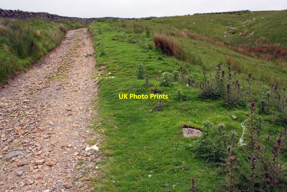Photo 6"x4" Farmland track through Water Ling Pasture Cubeck c2017
