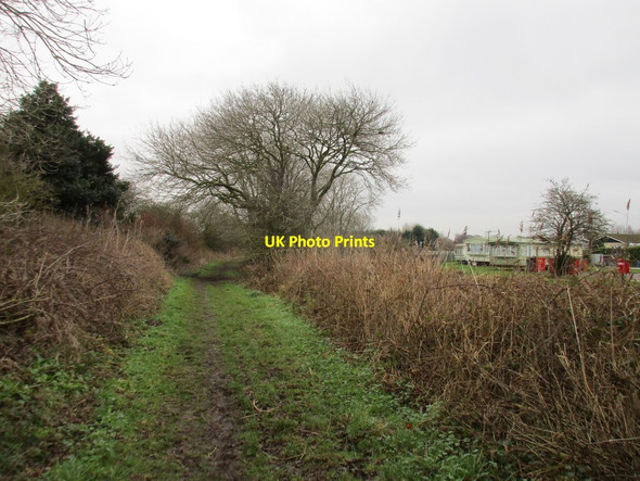Photo 6"x4" Path by the Leven Canal Leven\/TA1045 c2018
