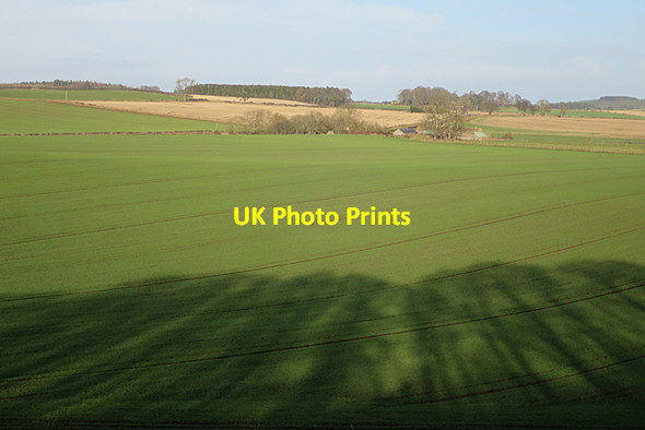 Photo 6"x4" Long Shadows Morebattle c2018