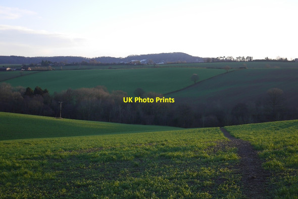 Photo 6"x4" Path, Bliss Gate Bliss Gate c2017
