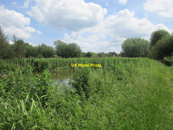 Photo 6"x4" The Oxford Canal almost hidden by vegetation Clifton\/SP4831 c2017