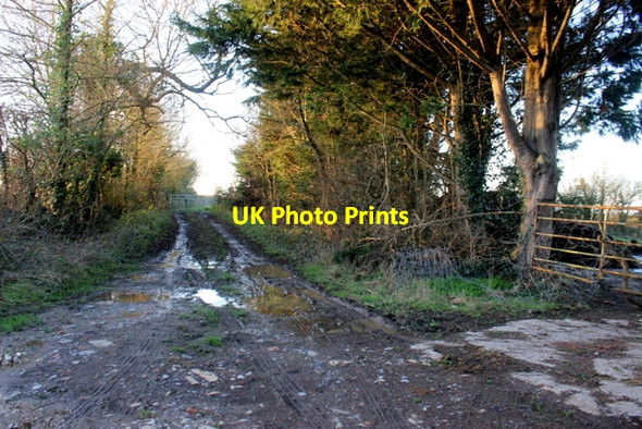 Photo 6"x4" Farm Track near Higher Foddington Foddington c2017