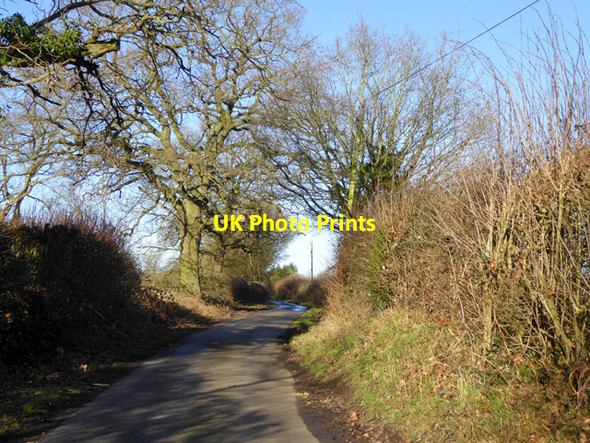 Photo 6"x4" Friendless Lane Cheverell's Green c2018