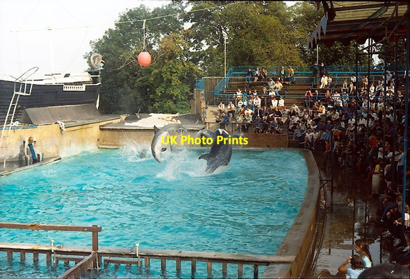 Photo 6"x4" Windsor Dolphin Park Clewer Green c1982