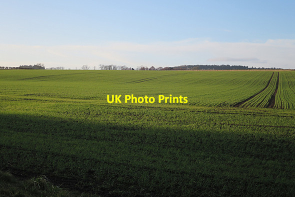 Photo 6"x4" Field near Cessford Eckfordmoss c2018