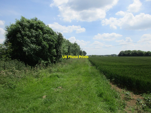Photo 6"x4" Field edge near Hill Farm Brackley\/SP5837 c2017