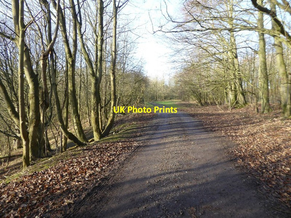 Photo 6"x4" Track and footpath, Alderton Hill Alderton\/SP0033 c2018