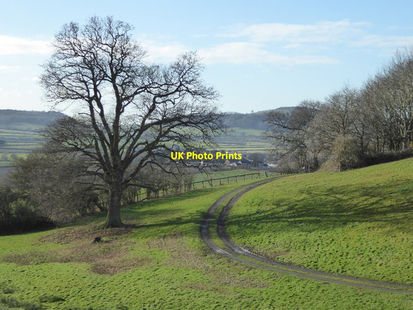 Photo 6"x4" View to Alderton Alderton\/SP0033 c2018