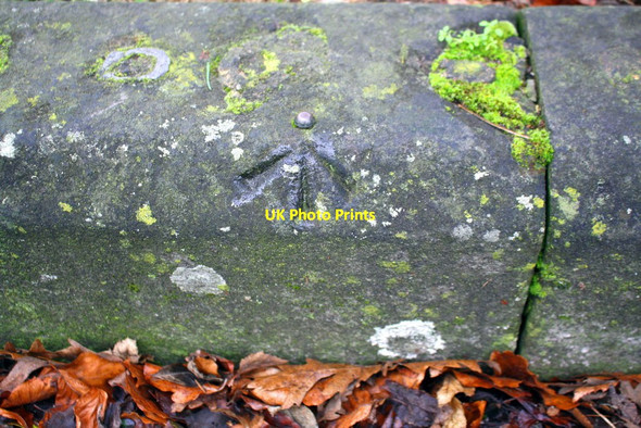 Photo 6"x4" Benchmark on Banbury Road wall at Park Town junction Oxford\/SP5106 c2018