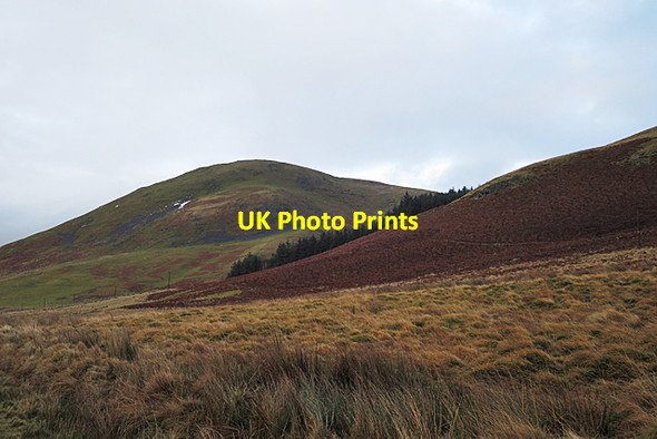 Photo 6"x4" Hindhope Hill Upper Hindhope c2018